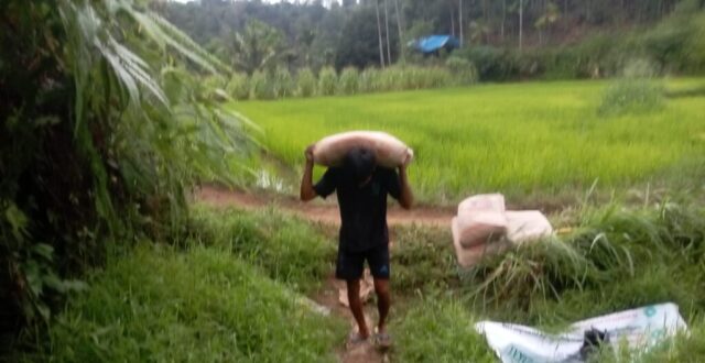 lansir 1