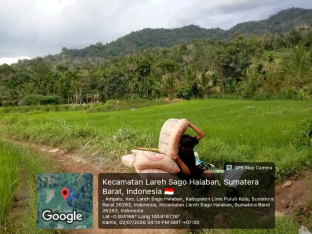 lansir