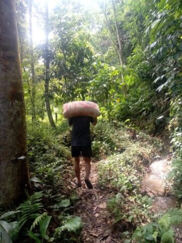 lansir semen rabu 22 juli