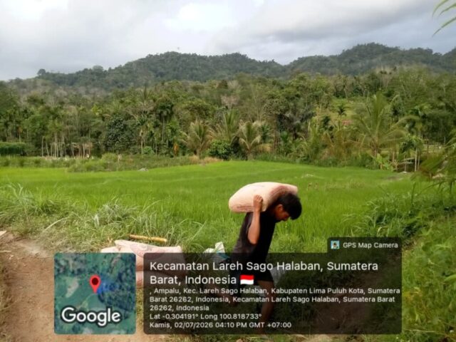 lansirr