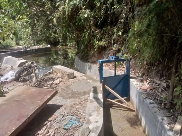 pintu